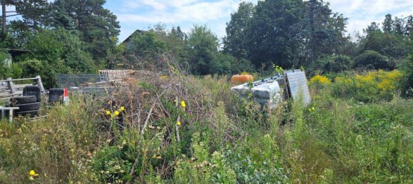  Land in Ganserndorf, Austria No. 255397 2