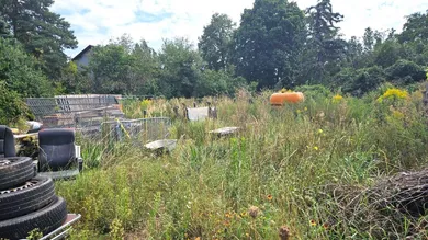  Land in Ganserndorf, Austria No. 255397