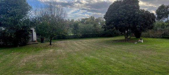 5-Zimmer Villa in Lucciana, France, Nr. 54894 3