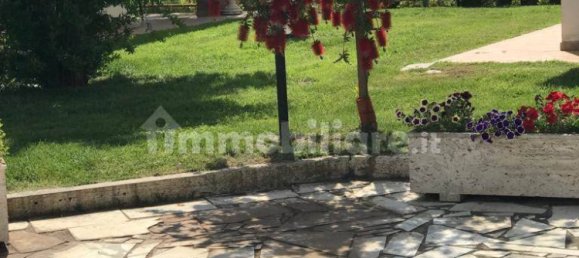 5 rooms Commercial property in Grosseto, Italy No. 145568 22