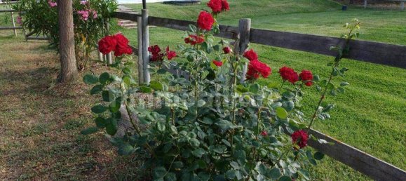 5 rooms Commercial property in Grosseto, Italy No. 145568 6