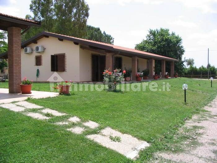 5 rooms Commercial property in Grosseto, Italy No. 145568