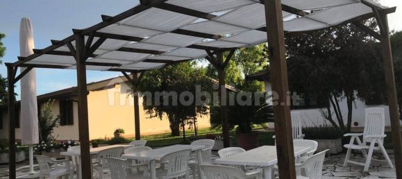 5 rooms Commercial property in Grosseto, Italy No. 145568 8