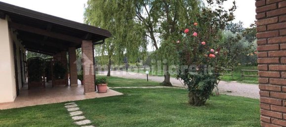 5 rooms Commercial property in Grosseto, Italy No. 145568 28