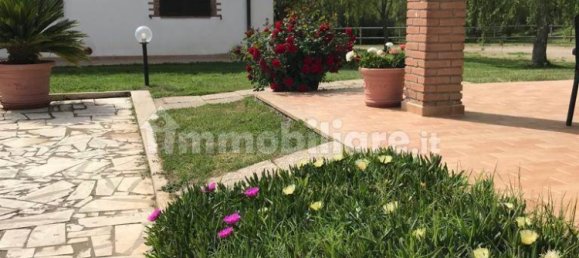 5-Zimmer Gewerbliche Immobilie in Grosseto, Italy, Nr. 145568 33