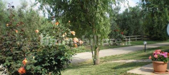 5 rooms Commercial property in Grosseto, Italy No. 145568 25