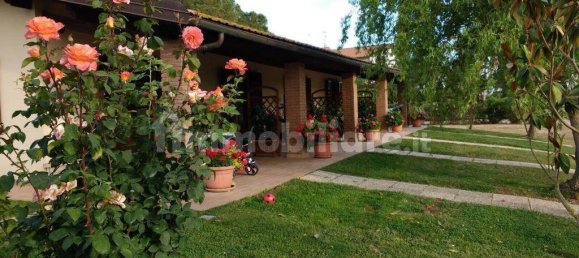 5 rooms Commercial property in Grosseto, Italy No. 145568 21