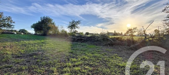 2902m² Land in Villeneuve-de-Riviere, France No. 107528 3