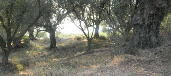  Hotel in Zakynthos, Greece No. 630 3