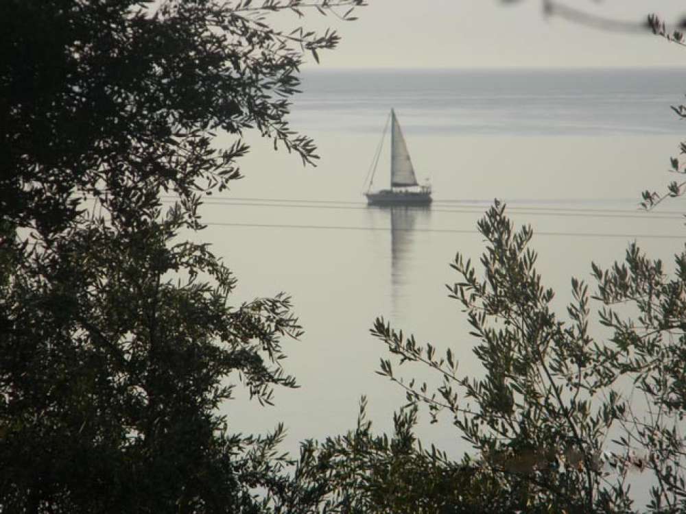  Hotel in Zakynthos, Greece No. 630