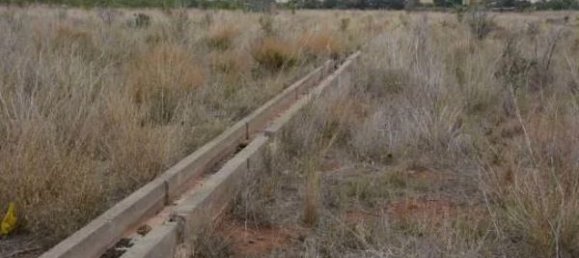 38791m² Land in Castellon, Spain No. 152455 4