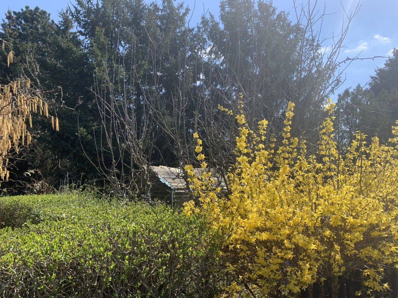 Terreno em Leipzig, Germany N.º 292336