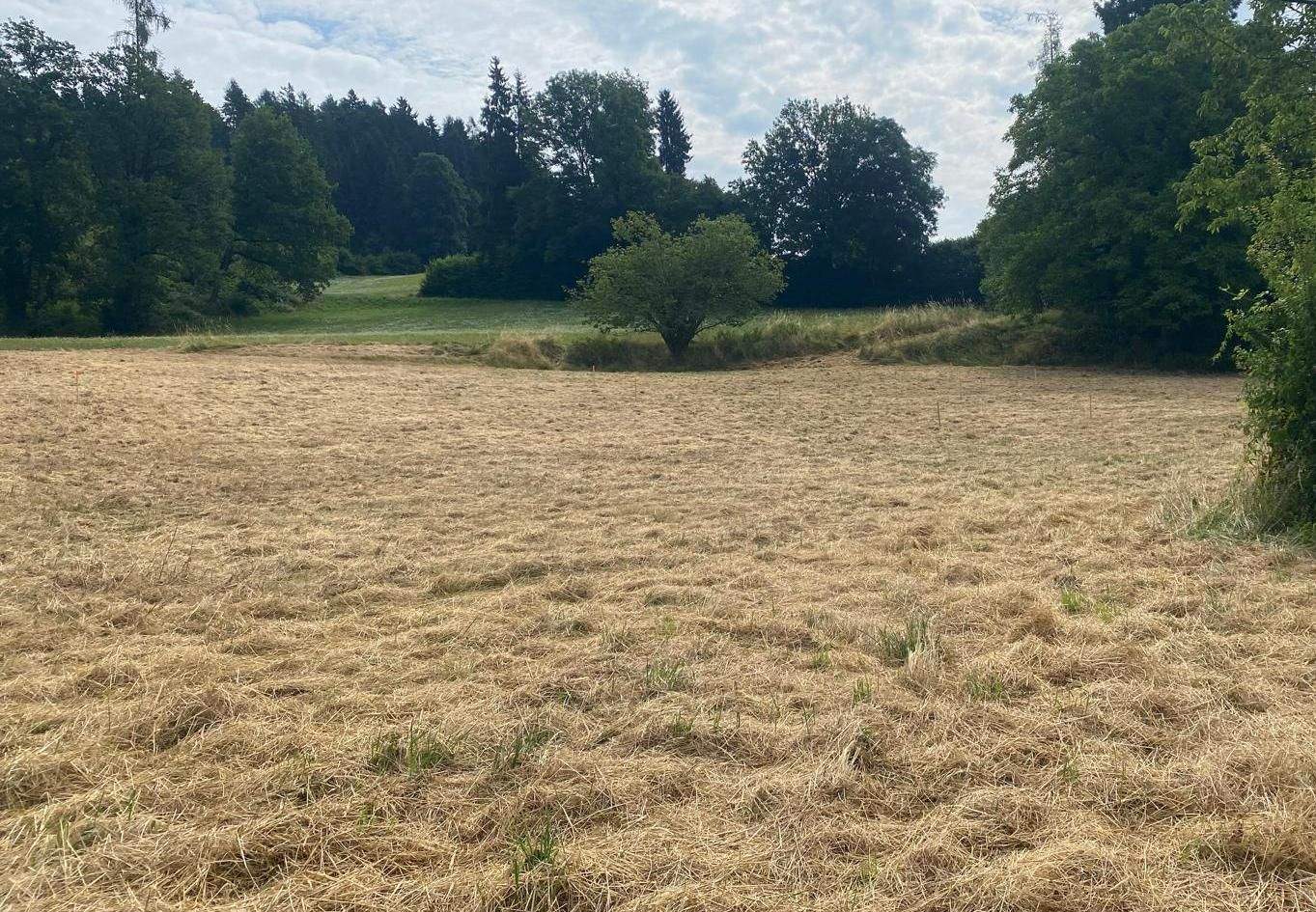Grundstück in Feldkirchen in Kärnten, Austria, Nr. 151568