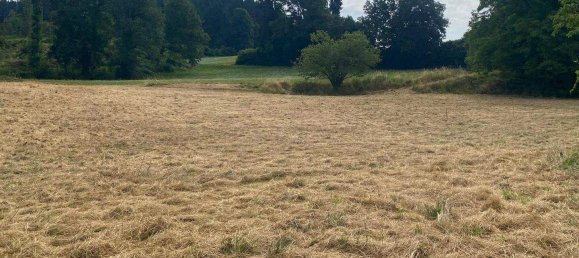 Grundstück in Feldkirchen in Kärnten, Austria, Nr. 151568 2