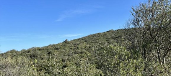 190000m² Land in Olbia, Italy No. 234989 15