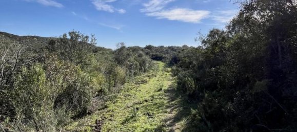 190000m² Land in Olbia, Italy No. 234989 9