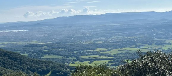 190000m² Land in Olbia, Italy No. 234989 14