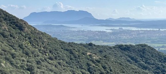 190000m² Land in Olbia, Italy No. 234989 22