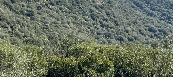 190000m² Land in Olbia, Italy No. 234989 11