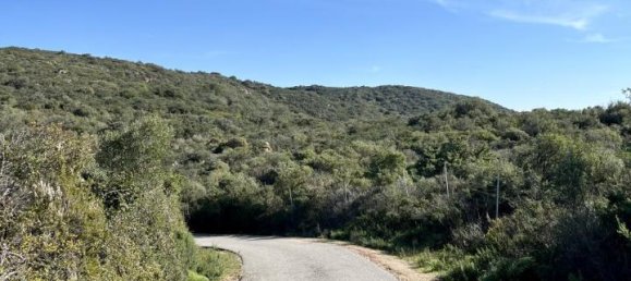 190000m² Land in Olbia, Italy No. 234989 5