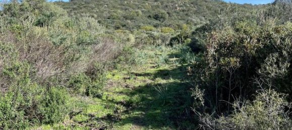 190000m² Land in Olbia, Italy No. 234989 8