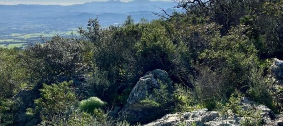 190000m² Land in Olbia, Italy No. 234989 23