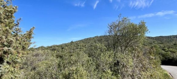 190000m² Land in Olbia, Italy No. 234989 16