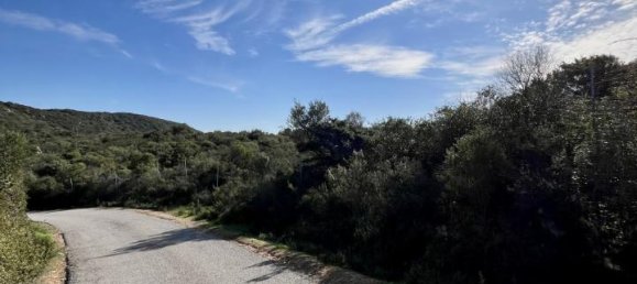 190000m² Land in Olbia, Italy No. 234989 7