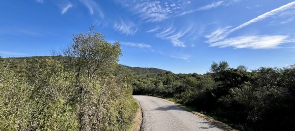 190000m² Land in Olbia, Italy No. 234989 6