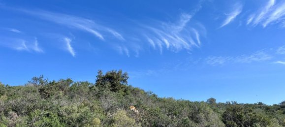 190000m² Land in Olbia, Italy No. 234989 10