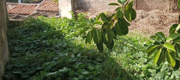 5 chambres Appartement à Sintra, Portugal No. 139224 9