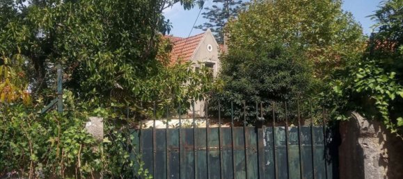 5 chambres Appartement à Sintra, Portugal No. 139224 2