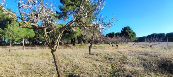 Casa de 1 dormitorio en La Pedraja de Portillo, Spain No. 78330 25