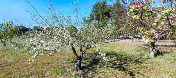 Casa de 1 dormitorio en La Pedraja de Portillo, Spain No. 78330 33