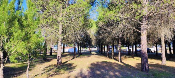 Casa de 1 dormitorio en La Pedraja de Portillo, Spain No. 78330 28