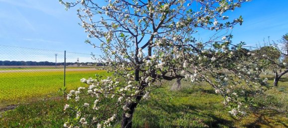 Casa de 1 dormitorio en La Pedraja de Portillo, Spain No. 78330 39