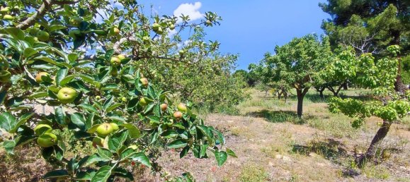 Casa de 1 dormitorio en La Pedraja de Portillo, Spain No. 78330 5