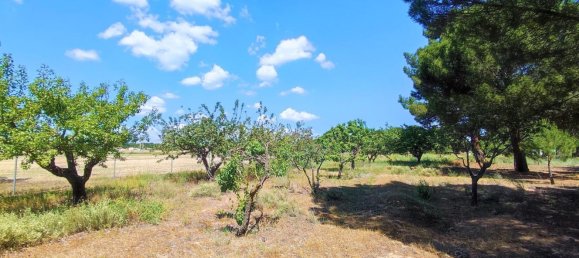 Casa de 1 dormitorio en La Pedraja de Portillo, Spain No. 78330 21