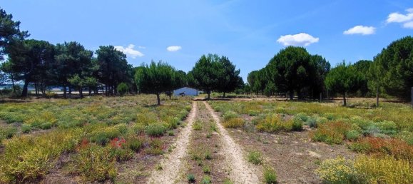 Casa de 1 dormitorio en La Pedraja de Portillo, Spain No. 78330 7
