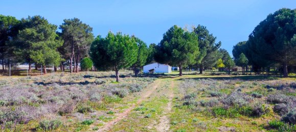 Casa de 1 dormitorio en La Pedraja de Portillo, Spain No. 78330 34