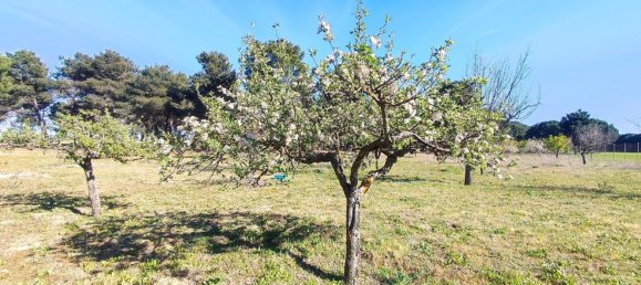 Casa de 1 dormitorio en La Pedraja de Portillo, Spain No. 78330 38