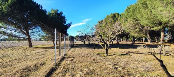 Casa de 1 dormitorio en La Pedraja de Portillo, Spain No. 78330 27
