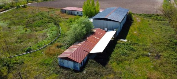 1300m² Warehouse in Apice, Italy No. 302811 31