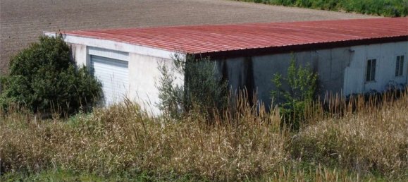 1300m² Warehouse in Apice, Italy No. 302811 11