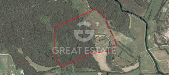 16غرفة منزل في Sinalunga, Italy رقم 236114 29