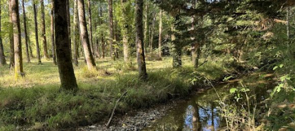 4 bedrooms House in Navarrenx, France No. 330491 23