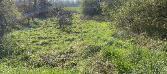 6 rooms Land in Indre-et-Loire, France No. 89778 2