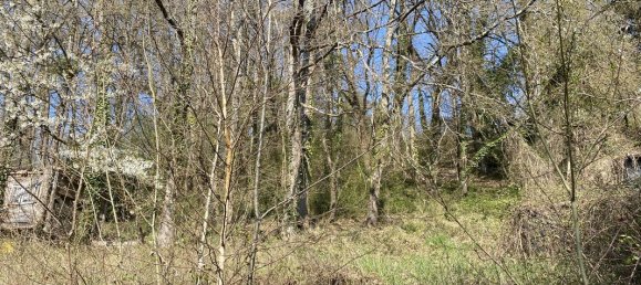 6 rooms Land in Indre-et-Loire, France No. 89778 3