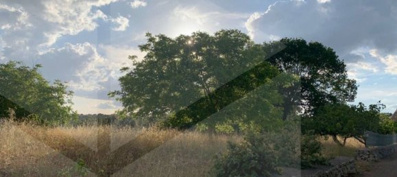 Casa de 5 divisões em Monopoli, Italy N.º 28465 19