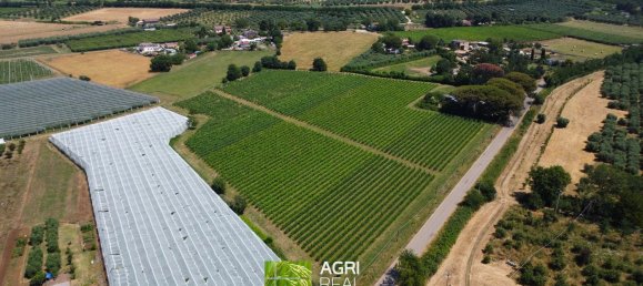 Земельный участок 34910м² в Чистерна Ди Латина, Италия № 258448 4